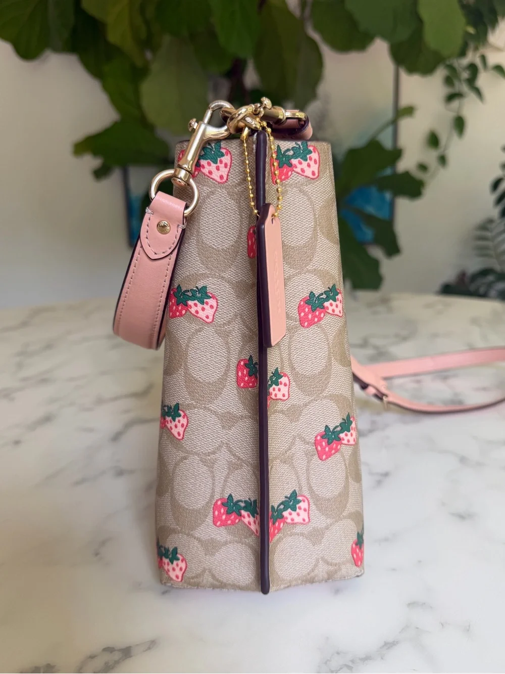 Coach Mollie Bucket Bag 22 In Signature Canvas With Strawberry Print CB602